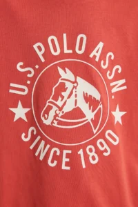 US Polo Assn. Boys' Brick Red Crew Neck T-Shirt - Image 6