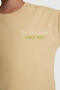 US Polo Assn. Boys' Beige Crew Neck T-Shirt - Image 6
