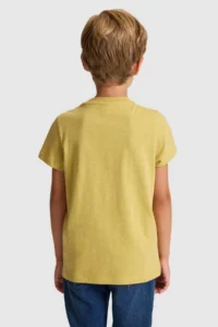 US Polo Assn. Boys' Green Crew Neck T-Shirt - Image 5