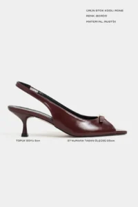 Nisantasi Shoes Rone Burgundy RUSTIC pattern Pointed toe Front Light with buckle Thin Heels Women Shoes - Image 2
