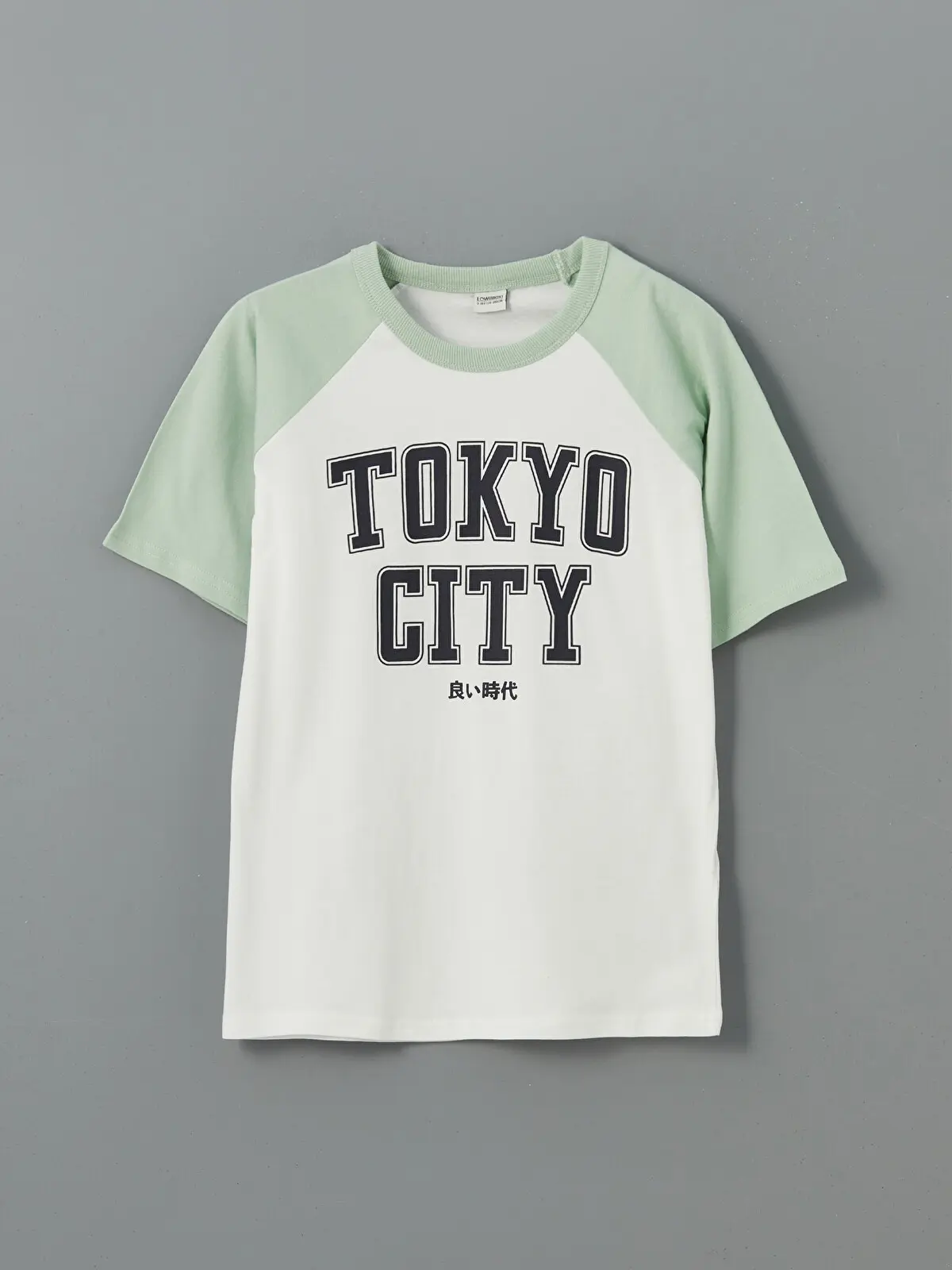S5J267Z4-G3H_1 LCW Kids Green Crew Neck Printed Boys' T-Shirt - Image 1