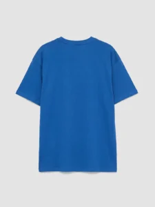 LCW Kids Blue Crew Neck California Printed Boys' T-Shirt - Image 3