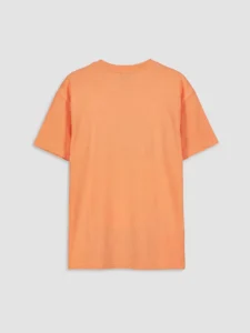 LCW Kids Orange Crew Neck Printed Boys' T-Shirt - Image 4