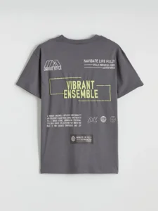 LCW Kids Gray Crew Neck Printed Boys' T-Shirt - Image 6