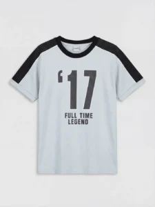 LCW Kids Gray Crew Neck Printed Boys' T-Shirt - Image 3