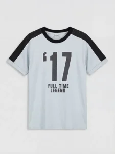 LCW Kids Gray Crew Neck Printed Boys' T-Shirt - Image 4