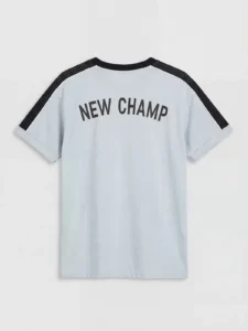 LCW Kids Gray Crew Neck Printed Boys' T-Shirt - Image 5