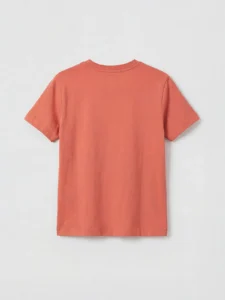 LC WAIKIKI Brown Standard Fit Short Sleeve Boys' T-Shirt - Image 2