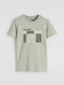 LC WAIKIKI Gray Crew Neck Printed Boys' T-Shirt