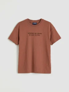 LC WAIKIKI Brown Printed Boys' T-Shirt