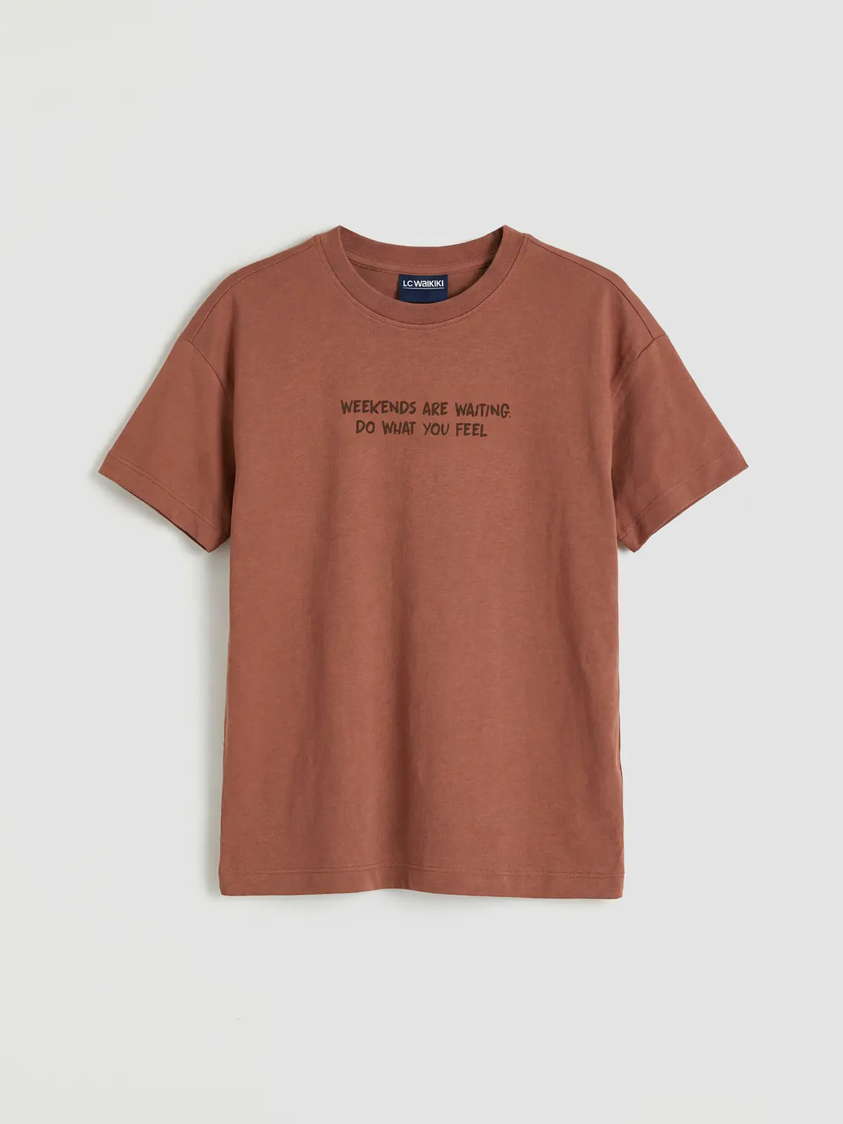 S6CF34Z4-H31_1 LC WAIKIKI Brown Printed Boys' T-Shirt - Image 1