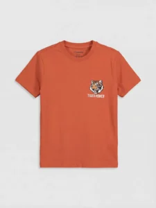 LC WAIKIKI Orange Crew Neck Printed Boys' T-Shirt