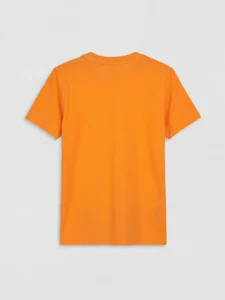 LC WAIKIKI Orange Crew Neck Printed Boys' T-Shirt - Image 2