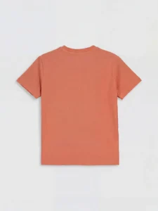 LC WAIKIKI Brown Crew Neck Printed Boys' T-Shirt - Image 2