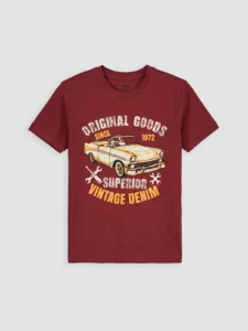 LC WAIKIKI Red Crew Neck Printed Boys' T-Shirt