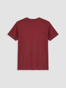 LC WAIKIKI Red Crew Neck Printed Boys' T-Shirt - Image 2