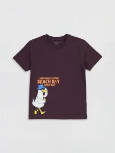 LC WAIKIKI Crew Neck Printed Boys' T-Shirt