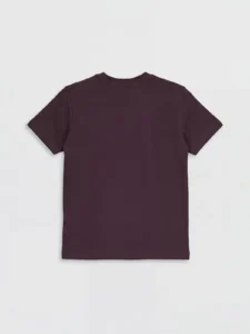LC WAIKIKI Crew Neck Printed Boys' T-Shirt - Image 2
