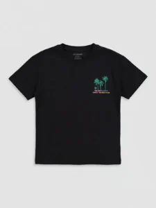 LC WAIKIKI Black Crew Neck Printed Boys' T-Shirt