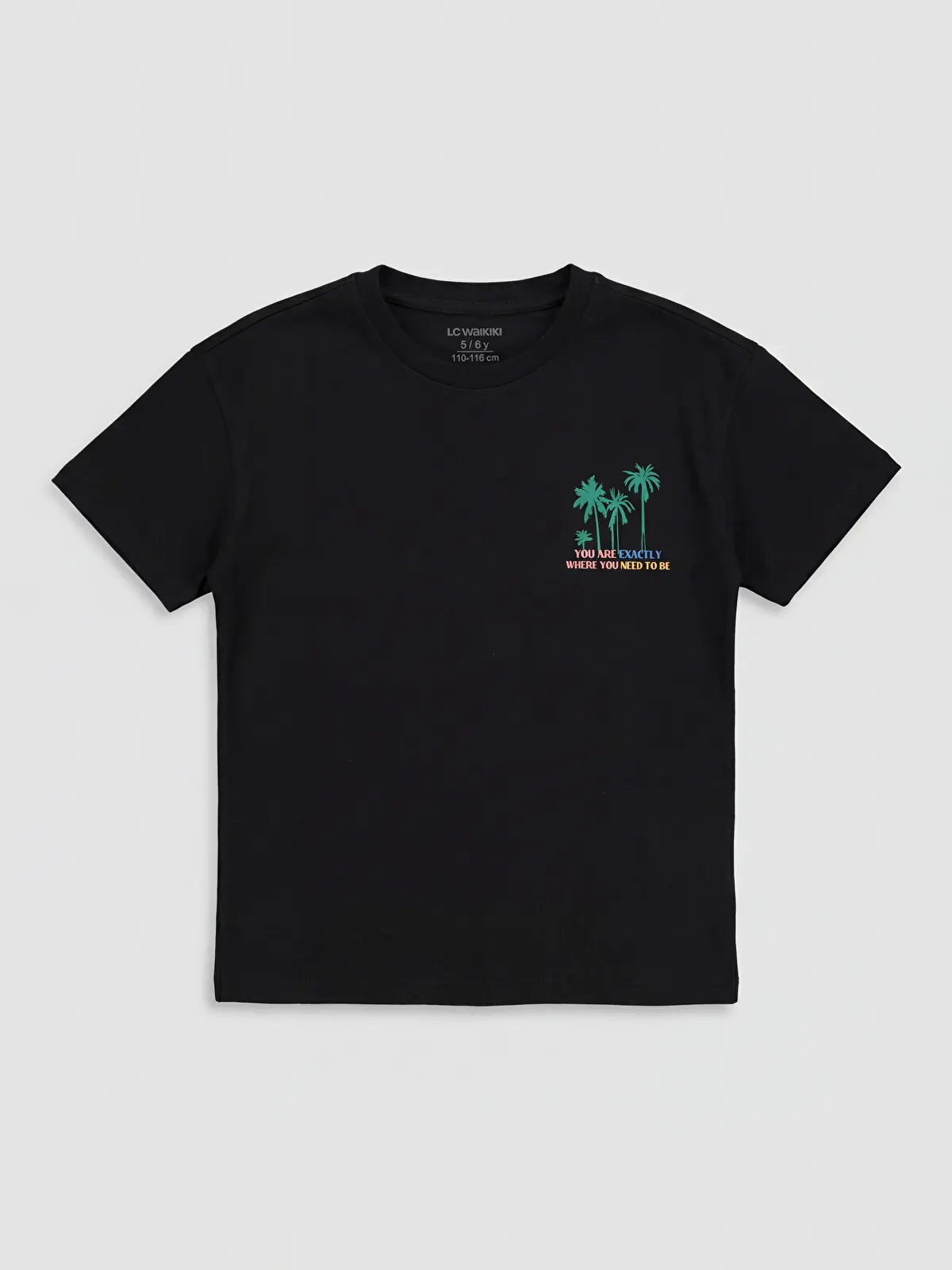 S6CI41Z4-CVL_1 LC WAIKIKI Black Crew Neck Printed Boys' T-Shirt - Image 1