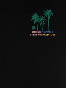 LC WAIKIKI Black Crew Neck Printed Boys' T-Shirt - Image 3