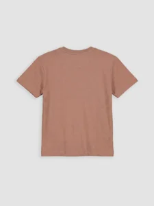 LC WAIKIKI Brown Crew Neck Printed Boys' T-Shirt - Image 2