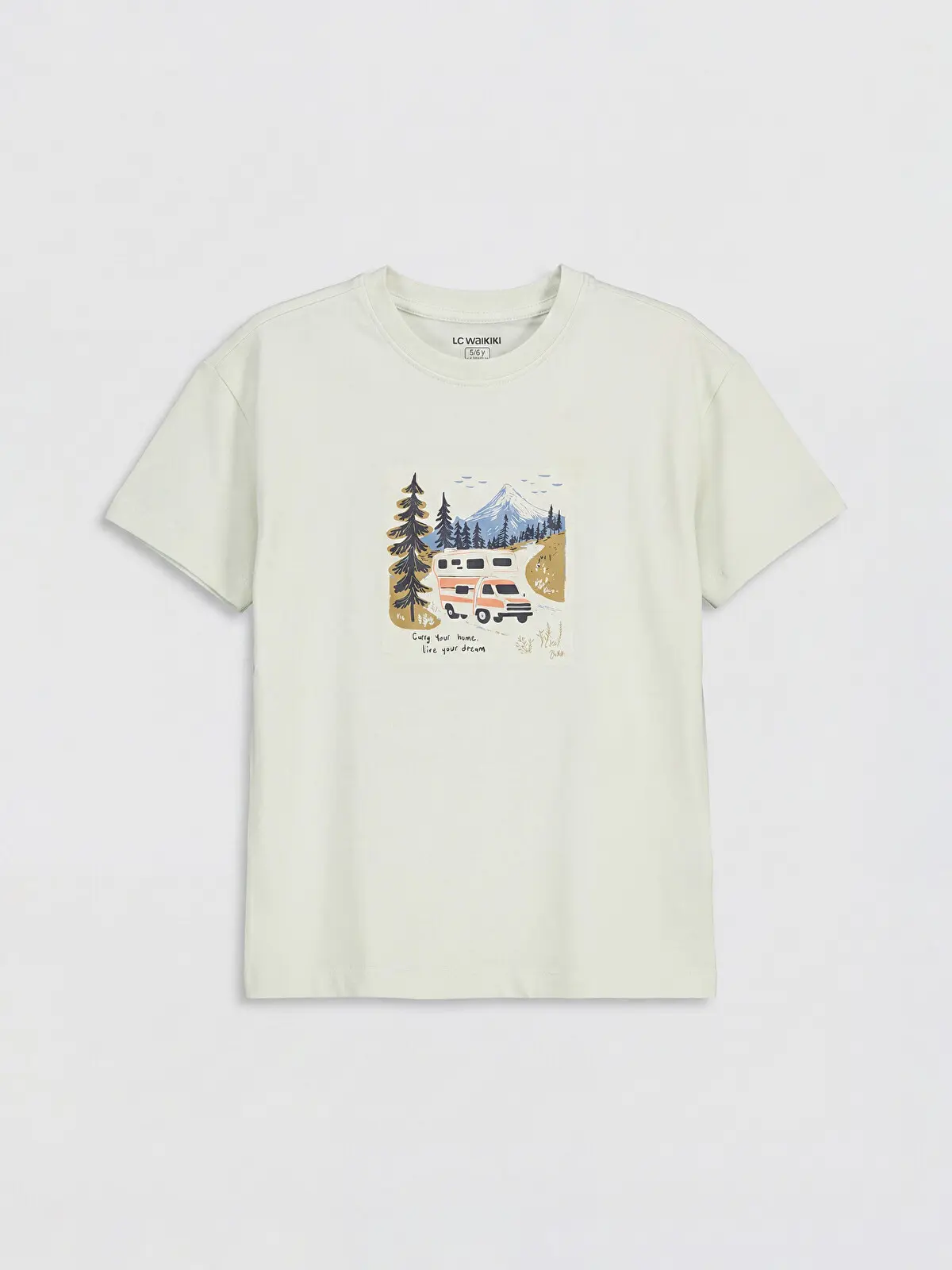 S6DT18Z4-FRY_1 LC WAIKIKI Green Printed Boys' T-Shirt - Image 1