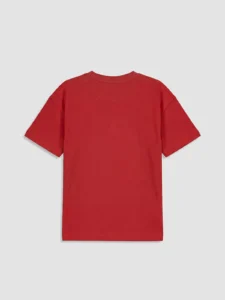 LC WAIKIKI Orange Crew Neck Printed Boys' T-Shirt - Image 3