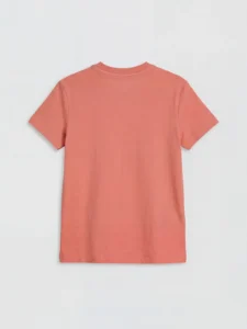 LC WAIKIKI Orange Crew Neck Printed Boys' T-Shirt - Image 2