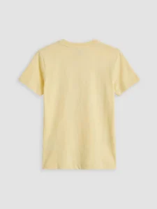 LC WAIKIKI Yellow Crew Neck Printed Boys' T-Shirt - Image 2