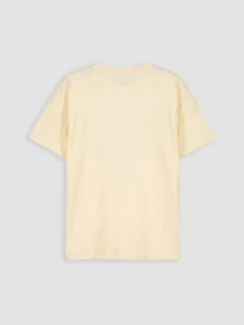LC WAIKIKI Beige Crew Neck Printed Boys' T-Shirt - Image 3