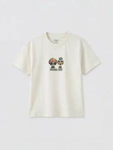 LC WAIKIKI Gray Crew Neck Printed Boys' T-Shirt