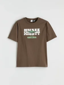LCW Kids Brown The Mandalorian Printed Boys' T-Shirt - Image 3