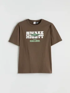 LCW Kids Brown The Mandalorian Printed Boys' T-Shirt - Image 4
