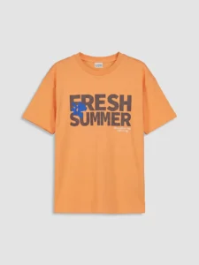 LCW Kids Orange Crew Neck Printed Boys' T-Shirt - Image 6