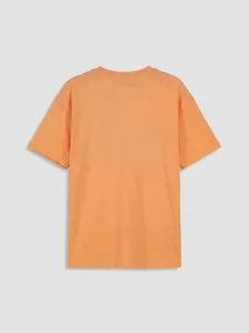 LCW Kids Orange Crew Neck Printed Boys' T-Shirt - Image 8