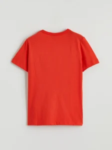 LC WAIKIKI Orange Crew Neck Printed Boys' T-Shirt - Image 3