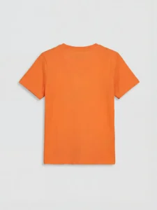 LC WAIKIKI Orange Crew Neck Printed Boys' T-Shirt - Image 2