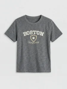 LC WAIKIKI Anthracite Boston Printed Boys' T-Shirt