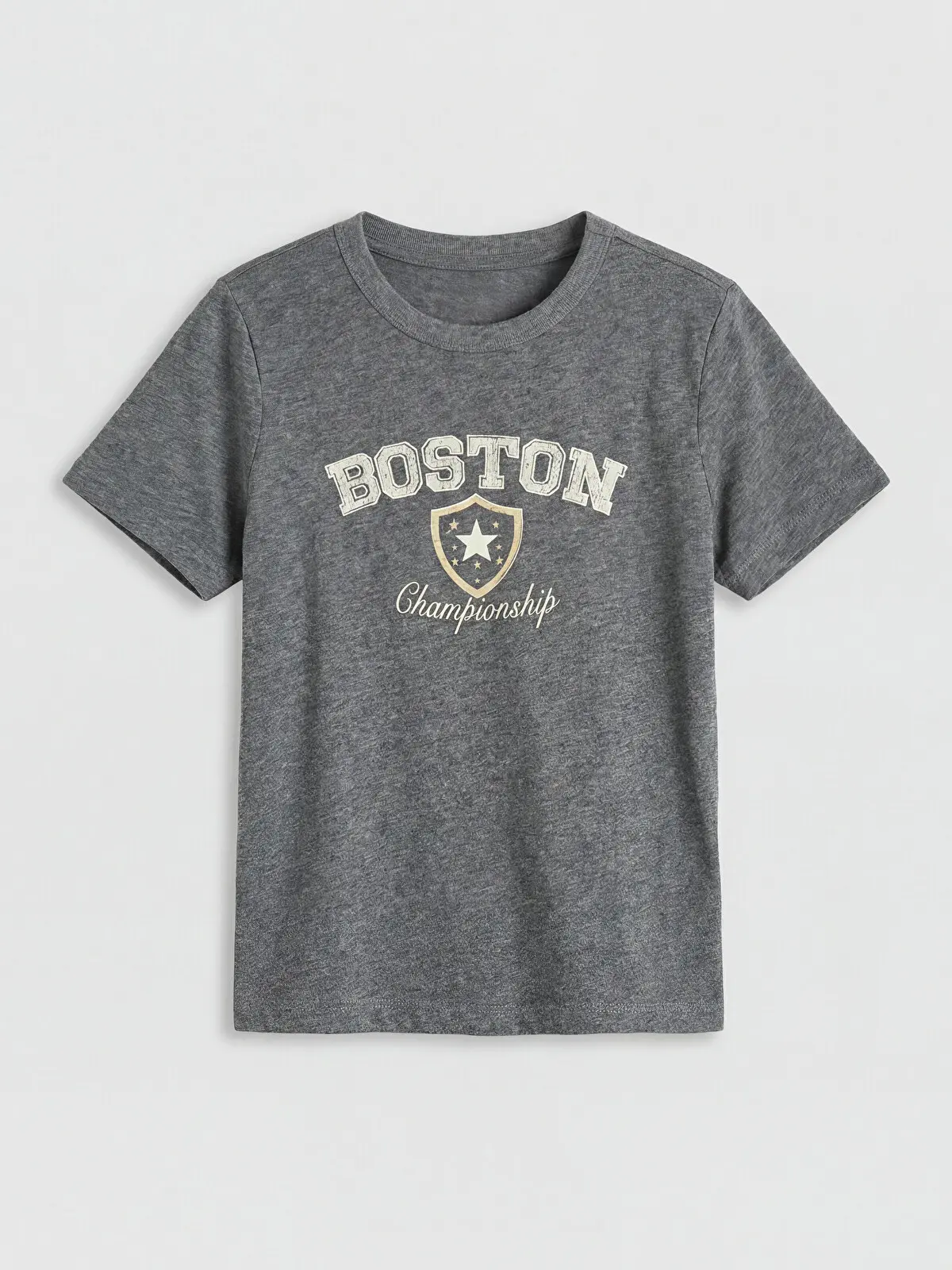 S6IO22Z4-L8N_1 LC WAIKIKI Anthracite Boston Printed Boys' T-Shirt - Image 1