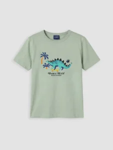 LC WAIKIKI Green Dinozor Printed Boys' T-Shirt