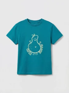 LC WAIKIKI Turquoise Crew Neck Printed Boys' T-Shirt