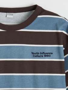LCW Kids Brown Crew Neck Striped Boys' T-Shirt - Image 4