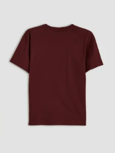 LCW Kids Burgundy Boys' Crew Neck New York Printed T-Shirt - Image 3