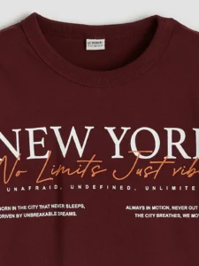 LCW Kids Burgundy Boys' Crew Neck New York Printed T-Shirt - Image 4
