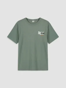 LCW Kids Green Crew Neck Printed Boys' T-Shirt - Image 4