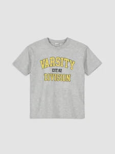 LCW Kids Gray Crew Neck Printed Boys' T-Shirt - Image 2