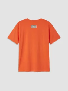 LCW Kids Orange Crew Neck Printed Boys' T-Shirt - Image 6