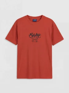 LCW Kids Orange Crew Neck Printed Boys' T-Shirt - Image 4
