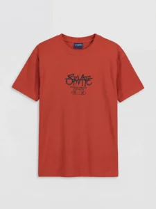 LCW Kids Orange Crew Neck Printed Boys' T-Shirt - Image 5